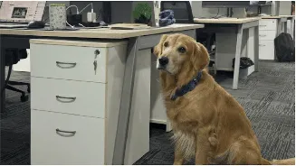 Related Stories banner