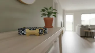 Include the Name the Pet Responds to and Common Nicknames