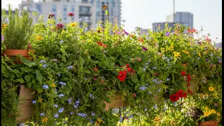 Pollinator Gardens Are The Urban Green Flex