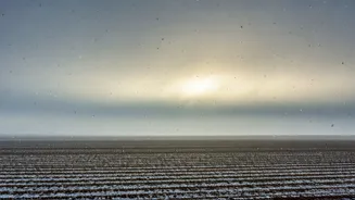 Aerosols' Role: Winter Fog in North India