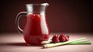 Hibiscus Lemongrass Infusions Are The Coolest Afternoon Drink Trend
