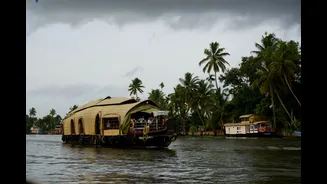 Exploring Kerala's Backwaters: A Timeless Travel Guide