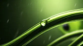 Monsoon Hair Fall Is Manageable With Better Habits