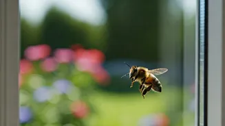 Bee-Proof Your Home: 6 Smart Ways to Coexist with Garden Pollinators