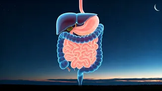 Why Eating After Sunset Disrupts Your Health: Expert Nutritionist Explains