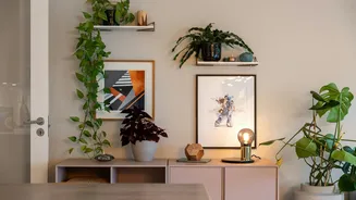 7 plantas para apartamento que são bonitas e fáceis de cuidar