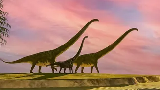 The New Tiny-Dinosaur Study: A Clearer View Of Early Mammals In Small Ecological Niches