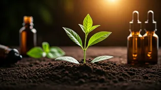 Revitalize Bald Spots: Top Hair Oil Blends for Accelerated Regrowth