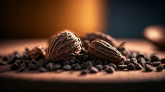 Pregnancy Nutrition: Decoding the Wisdom of Chironji Seeds for Baby's Bones