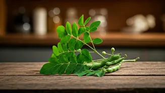 Moringa Is Moving Into Daily Indian Meals