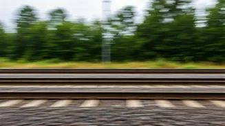 Viral Trends: Top Stories in India