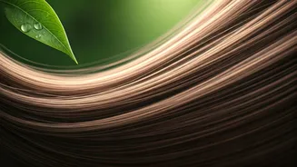 The Natural Way To Support Hair Health