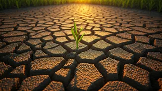 Why The 46% National Rainfall Deficit Is Major Warning