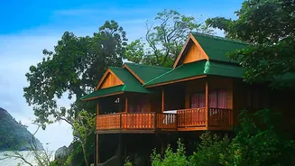 Why Off Season Travellers Choose Coorg Coffee Estate Homestays For Scenic Monsoon Green Getaways