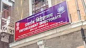 Year-Ender 2025: From Ponzi Schemes To Online Betting, ED Tightens Noose On Financial Crimes