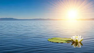 Navigating the Waters: Mental Wellbeing in Everyday Life