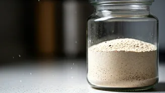 Stop Monsoon Moisture Bugs From Ruining Your Kitchen Wheat Flour