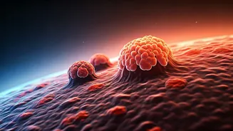 Related Stories banner