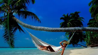 How To Enjoy An Eco-Conscious Lakshadweep Vacation With Proper Permits And Coastal Lodging