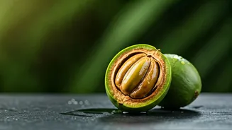 Tamanu Oil: Unveiling the Ancient African Elixir for Radiant Skin