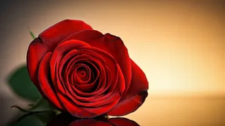 Mrunal Thakur's Wish: Love for All, Amidst Rumors