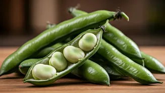 Fava Beans Make Plant Protein Feel Fresh