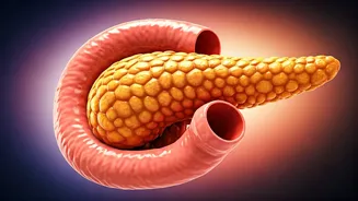 Related Stories banner