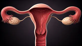 Unveiling Endometriosis: Symptoms, Surgery, and Beyond