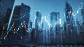 Decoding the Indian Stock Market's Volatility