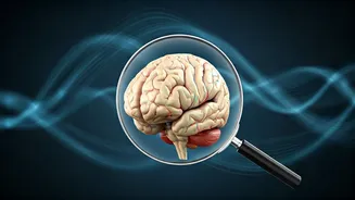 Unveiling Habits: Kartik & Ananya's Real Connection