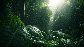 Earth's Drenched Havens: Exploring the 5 Wettest Places on the Planet