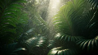 The Rain Brings These Hidden Places Alive