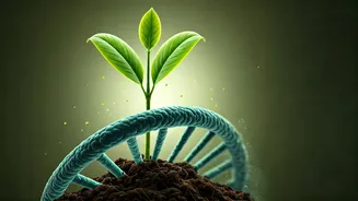 Malaika Arora Champions Science-Backed Nutrition for a Healthier India