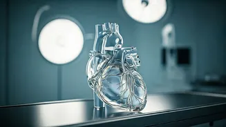 3 Essential Tests Beyond Blood Tests for Heart Health