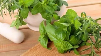 You must try these recipes using basil and mint
