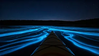Bioluminescence Kayaking Is Worth Planning Around