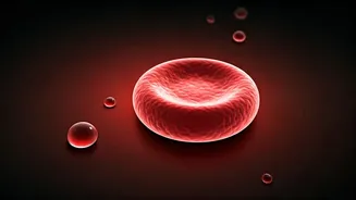 Unlocking Iron for Kids: Why Absorption Matters and How to Boost It