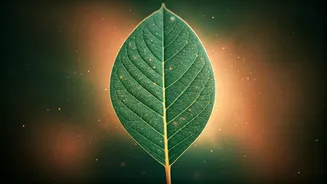 Unlock Your Glow: Understanding 'Gym Face' and Cortisol's Role in Post-Workout Dullness