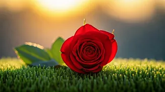 5 Tips for Thriving After a Breakup: Love Yourself!