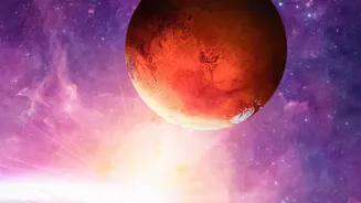 The Habitable Zone Cannot Show Whether An Exoplanet Could Support Life