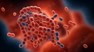 How can I improve gut health this Diwali?