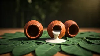 Nostalgic Amritsari Kulfi On Fresh Leaves Beats The Heat