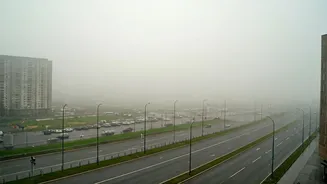 Delhi's Dense Fog & High AQI: Disruptions & Restrictions