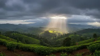 How Flexible Travel Insurance Helps Travellers Prepare For India's Unpredictable Monsoon