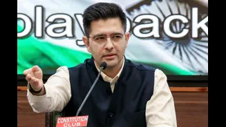 ‘Political Vendetta’: Raghav Chadha Hits Out At AAP After Name Marked ‘Permanently Shifted’ In Punjab Draft SIR
