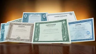 Investing Differently: 6 Stocks Across 3 Sectors to Watch