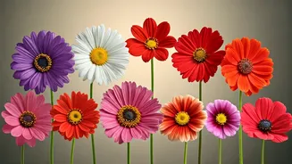 Unveiling 8 Unique Baby Girl Names Inspired by Global Blooms