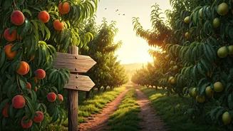 Search Spikes For Tucked Away Fruit Orchard Farm Stays