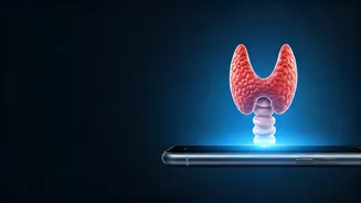 Night Mode: Shielding Your Thyroid in the Digital Era