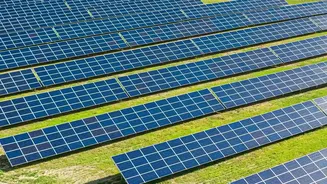 Shade-Grown Farming Success: Early Lessons From Experimental Solar Farms In India